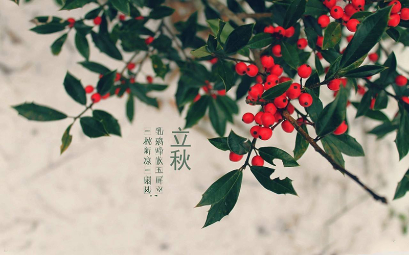 華燁篷房 華燁篷房