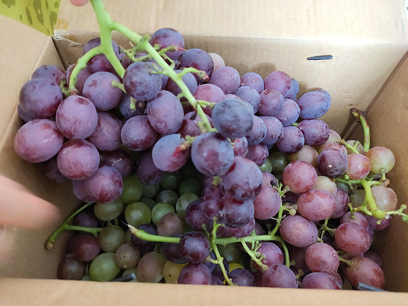 華燁篷房 華燁篷房