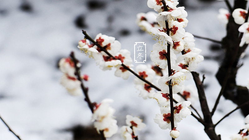 華燁篷房 華燁篷房