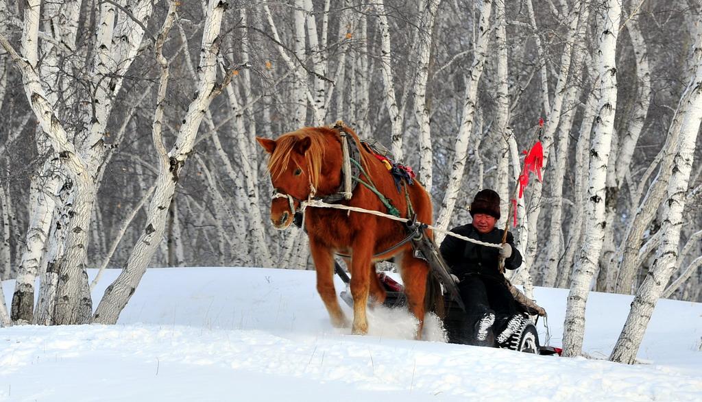 一年四季，冬天是最后的一個(gè)季節(jié)